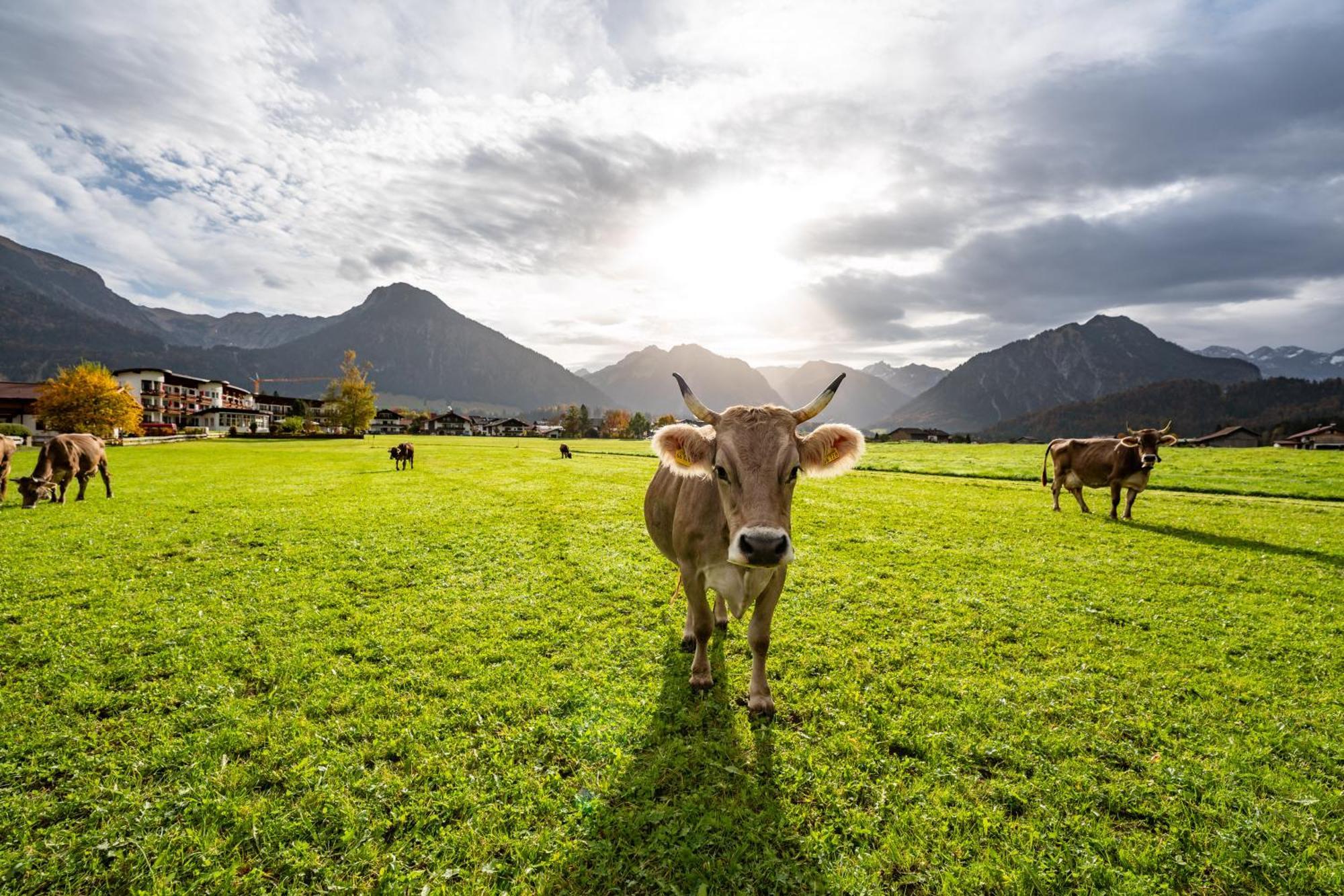 Best Western Plus Hotel Alpenhof Oberstdorf Zewnętrze zdjęcie