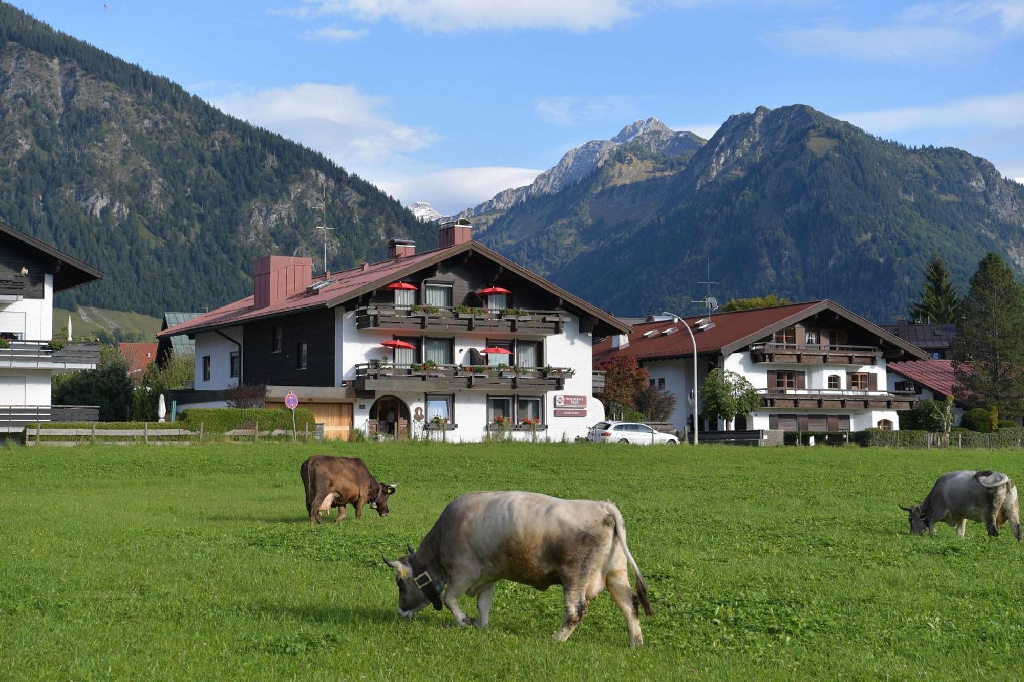 Best Western Plus Hotel Alpenhof Oberstdorf Zewnętrze zdjęcie